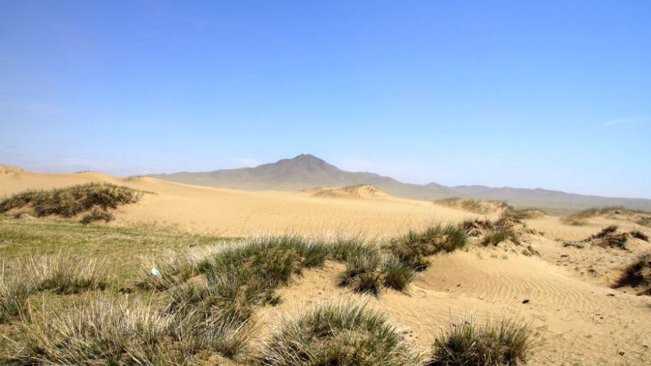 Odborníci z Mendelovy univerzity se snaží v Mongolsku zastavit písečnou dunu